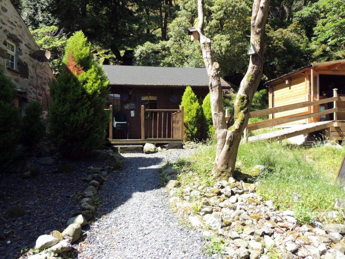 Bryn Dinas Camping Pods Ltd. Hotel Beddgelert Eksteriør billede