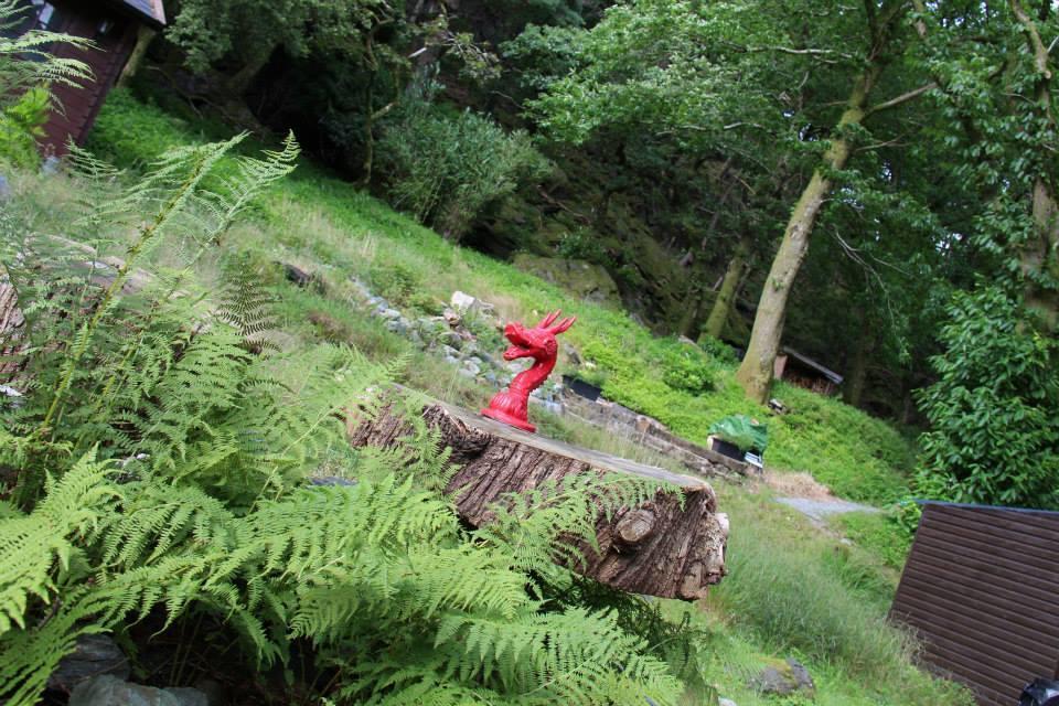 Bryn Dinas Camping Pods Ltd. Hotel Beddgelert Eksteriør billede